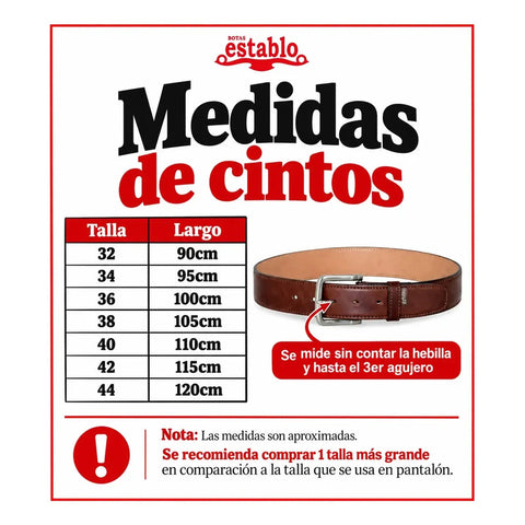 Cinturón De Piel Establo 101 Negro Floter Hebilla Plateada