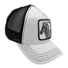 Gorra Goorin Bros The Farm Extreme Gris Snapback 2023 15