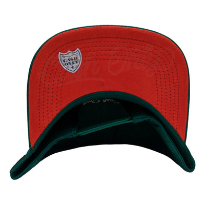 Gorra Cash Only Richi Dollar Verde Ajustable