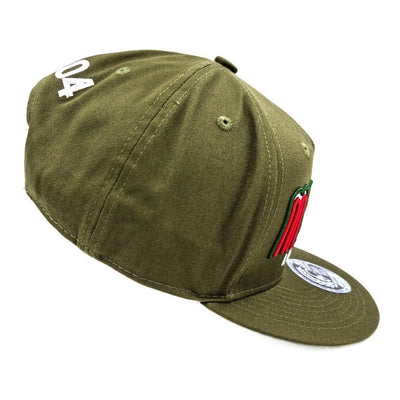 Gorra Antifashion Snapback Verde Colección 2021  México